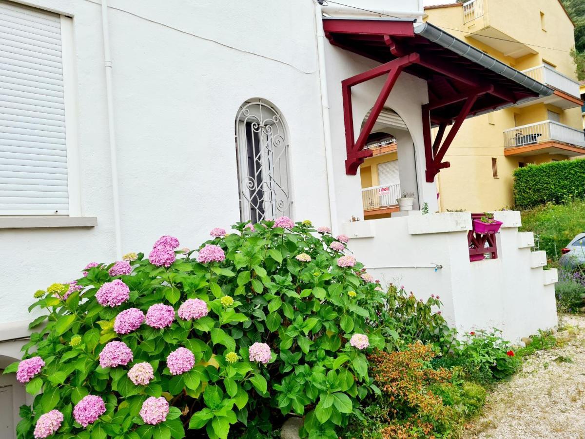Villa La Closeraie 아멜리에레방팔랄다 외부 사진